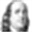 franklin